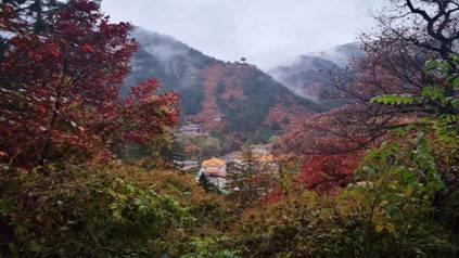 C:\Users\lenovo\AppData\Local\Temp\WeChat Files\340757353936417239.jpg